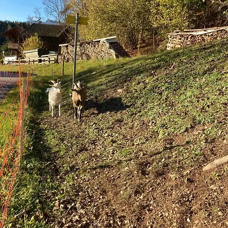 Ellmauhof * Pfarrwerfen