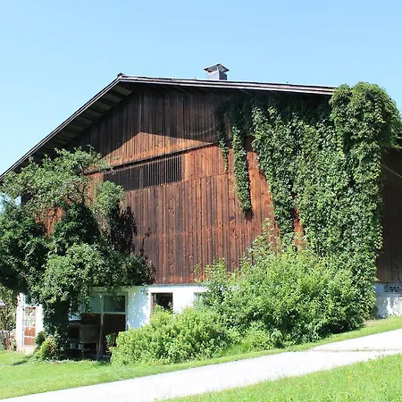 Ellmauhof