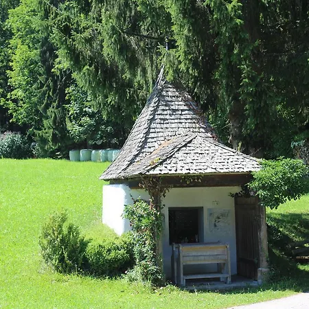 Çiftlik konaklama Ellmauhof Pfarrwerfen