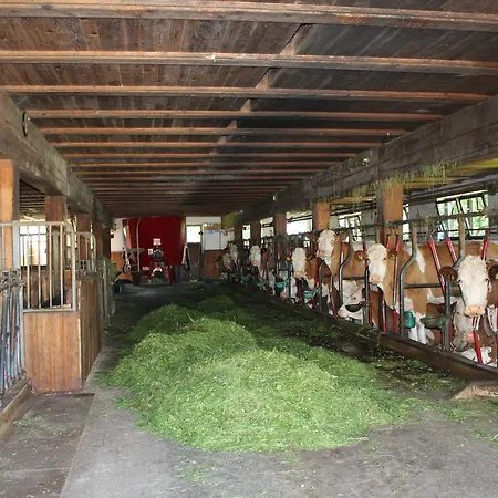 Ellmauhof * Pfarrwerfen